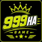 999HA Game